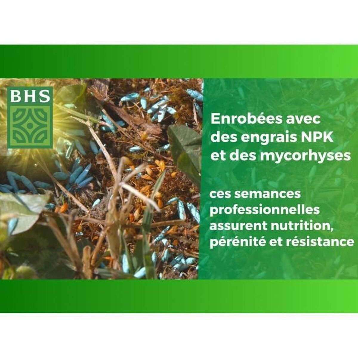 V3HEE5A9AB47BFB6B151E2B29ECFF7C362DR5808573P2