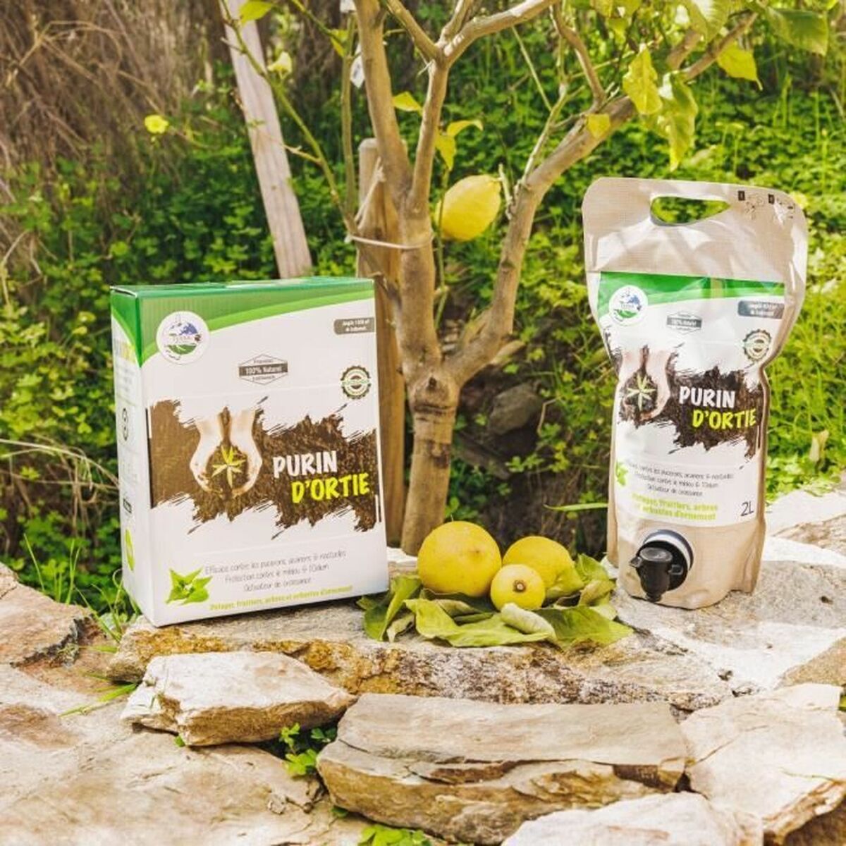 V3H910B65294F62035B1D4F55063EDF01B7R6067084P3