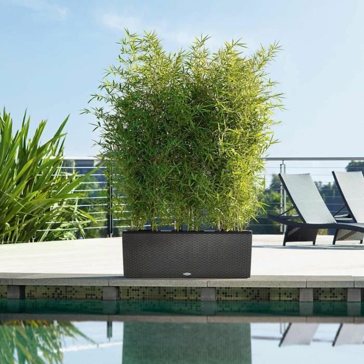 V5H060AC833BBC6BF51E465B1CEC8B6ED4DR7349226P3