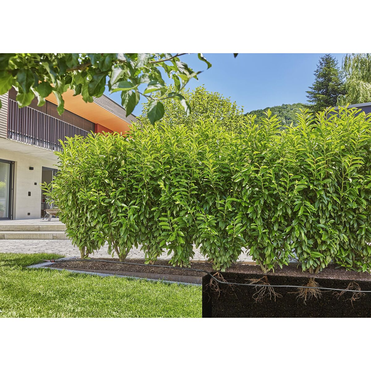 V4H30C85A8C5A955AFBC329AD48012846B2R7162843P8