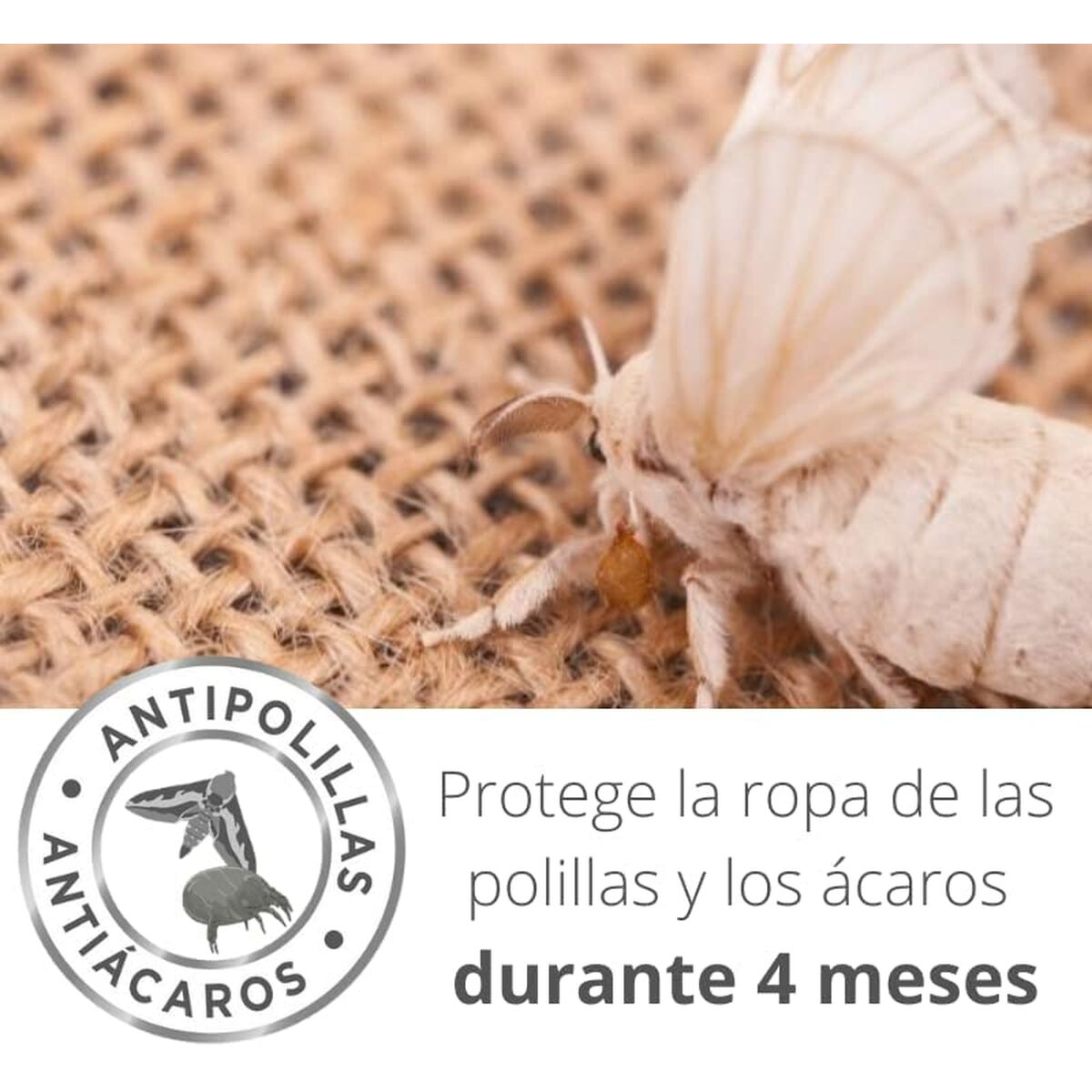 V3HEA2FB8B2689D3989EE039473E1E7F4F9R5816121P7