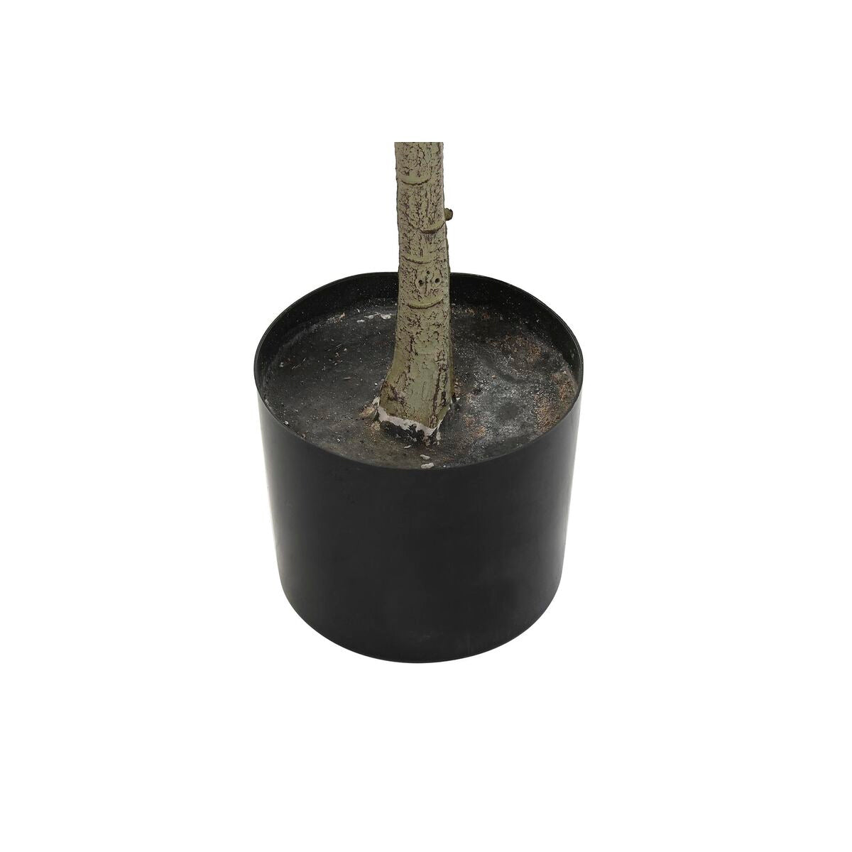 V7HB0B9D25231E767927E3F2F5A562866AFR6117414P2