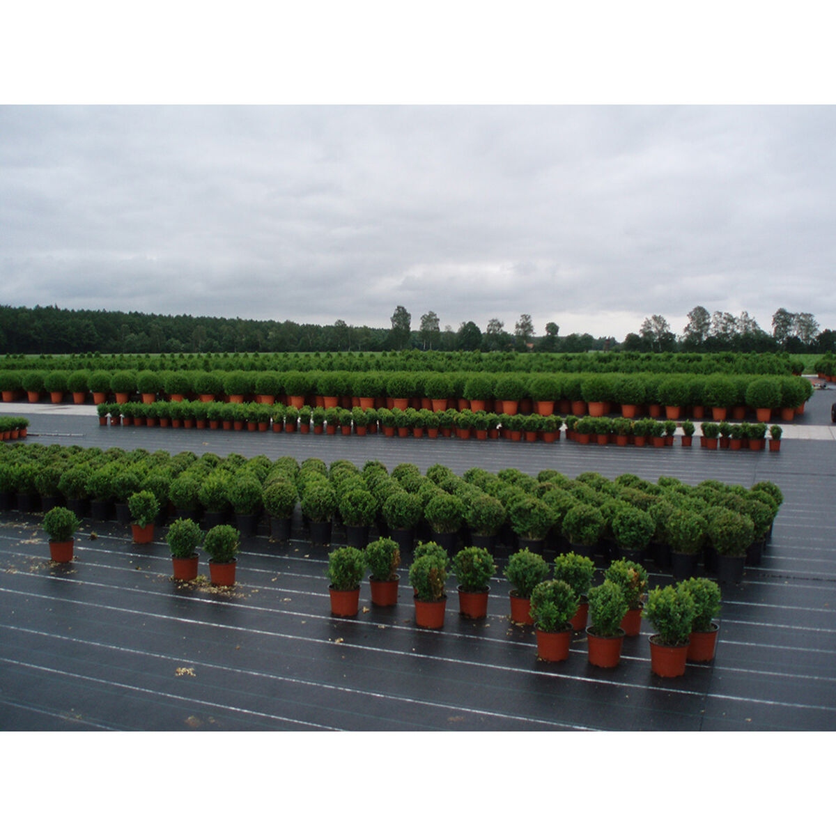 V2H4BAF08E9131E6AD1E556206BBE06946FR7001966P2