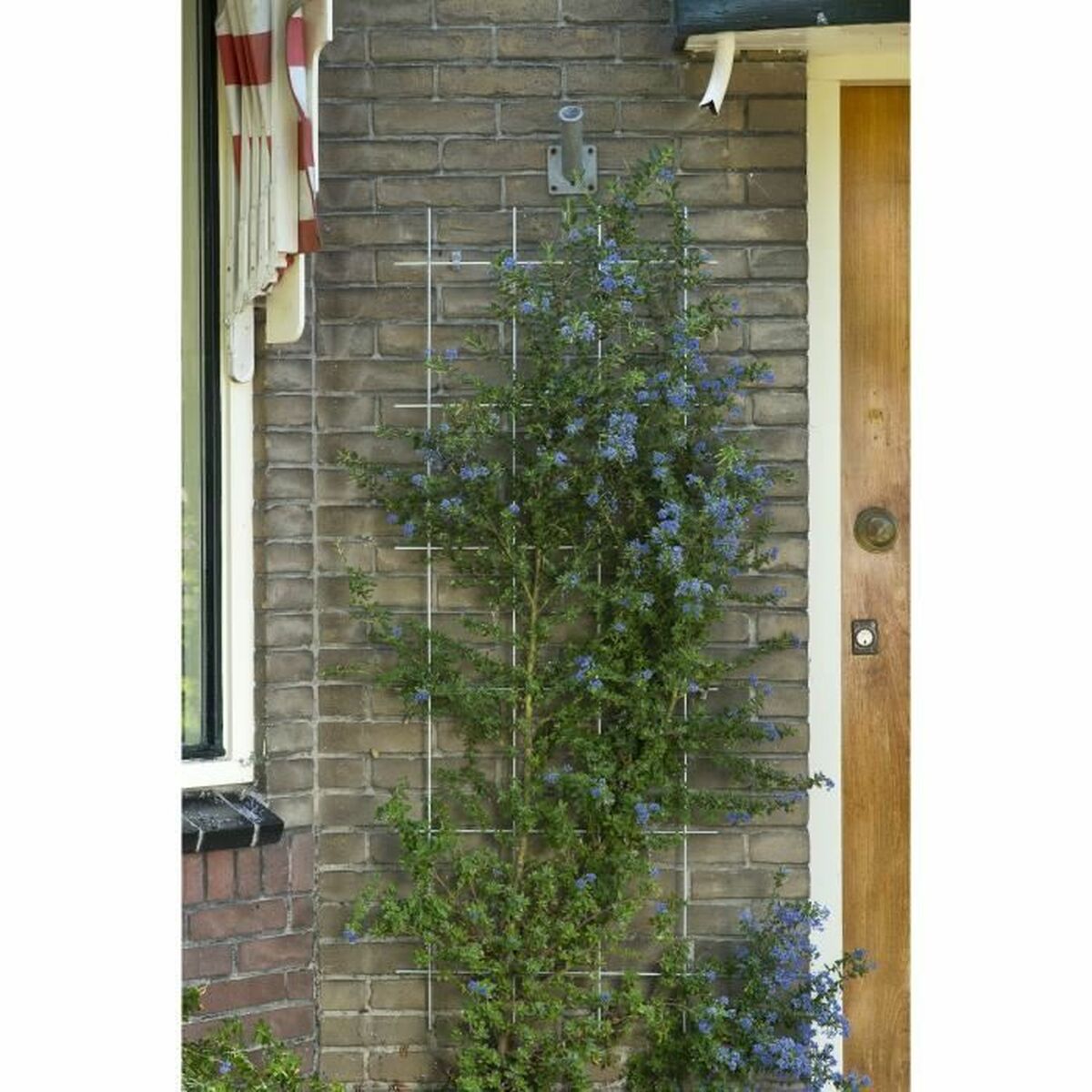 V6H8DB6A6A0E8106E4F8FD31970A54C19D0R7346220P4