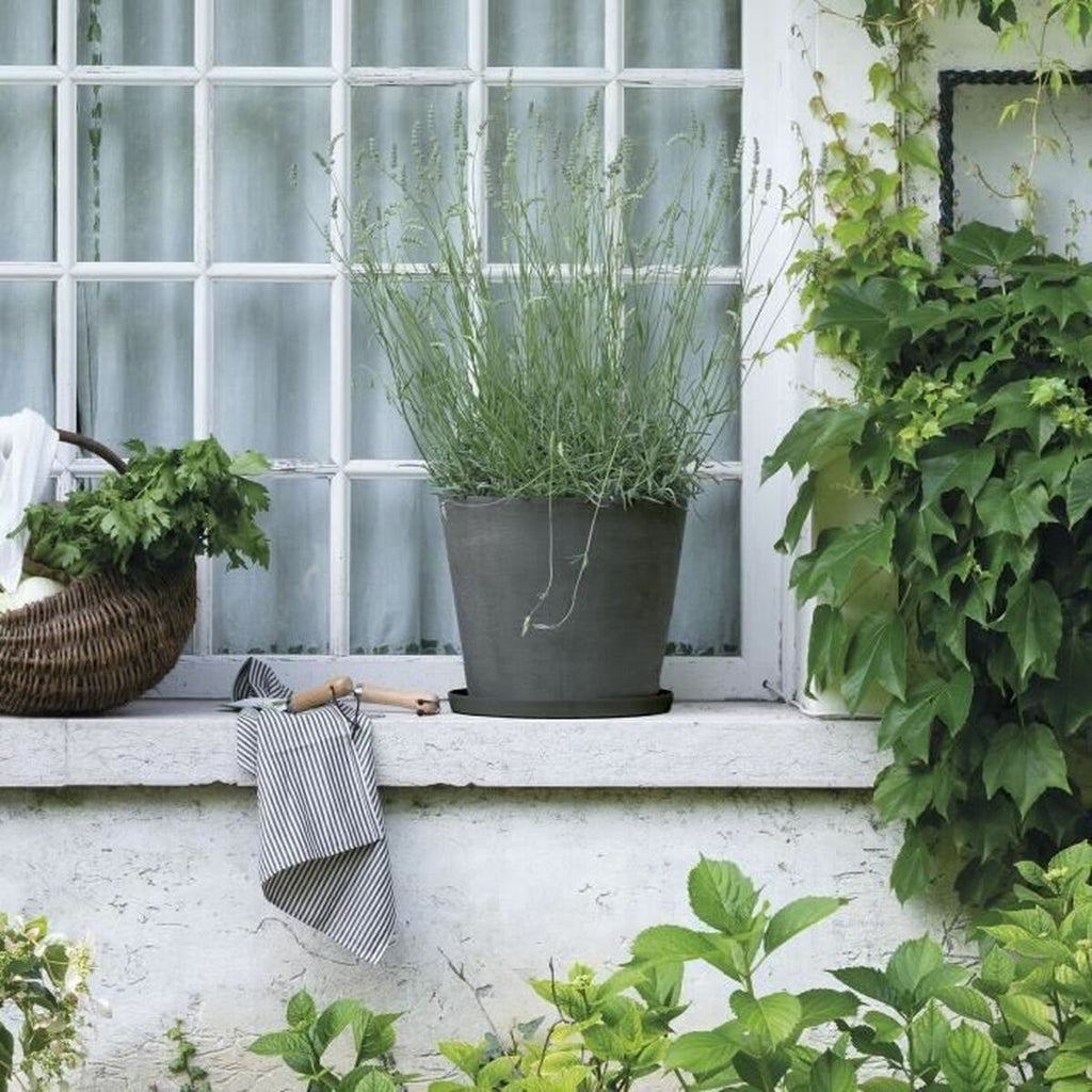 V6HD9A800DE749900E124C5FCB76DBBCBE2R7383771P2