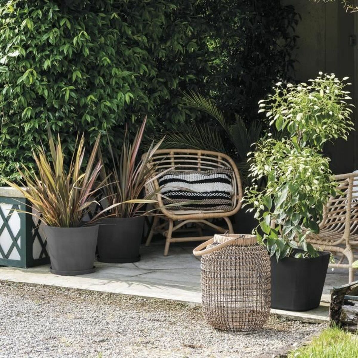 V5HD69BA1373B5F0FEE373BE88886ED86BDR5780134P3