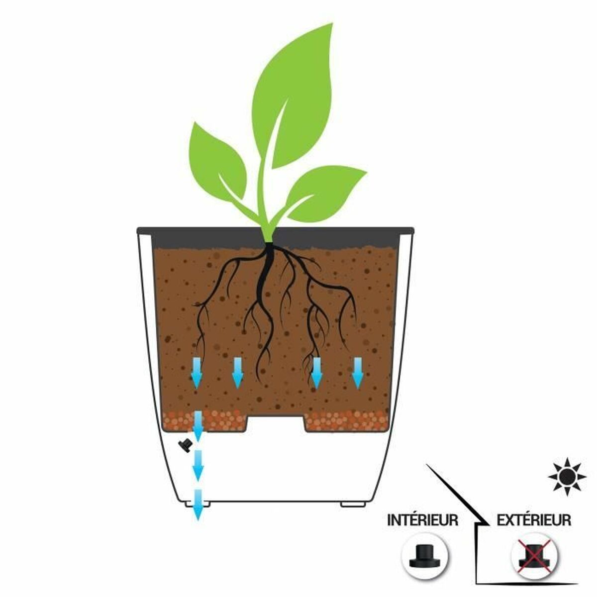 V5H9B8555E44A11147A253DD700DABDF252R5780498P3