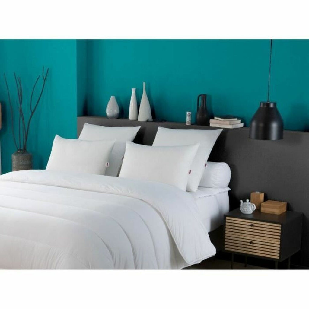 V9H5ED0953D2B85A65684C5AEB57B23577AR3441913P2