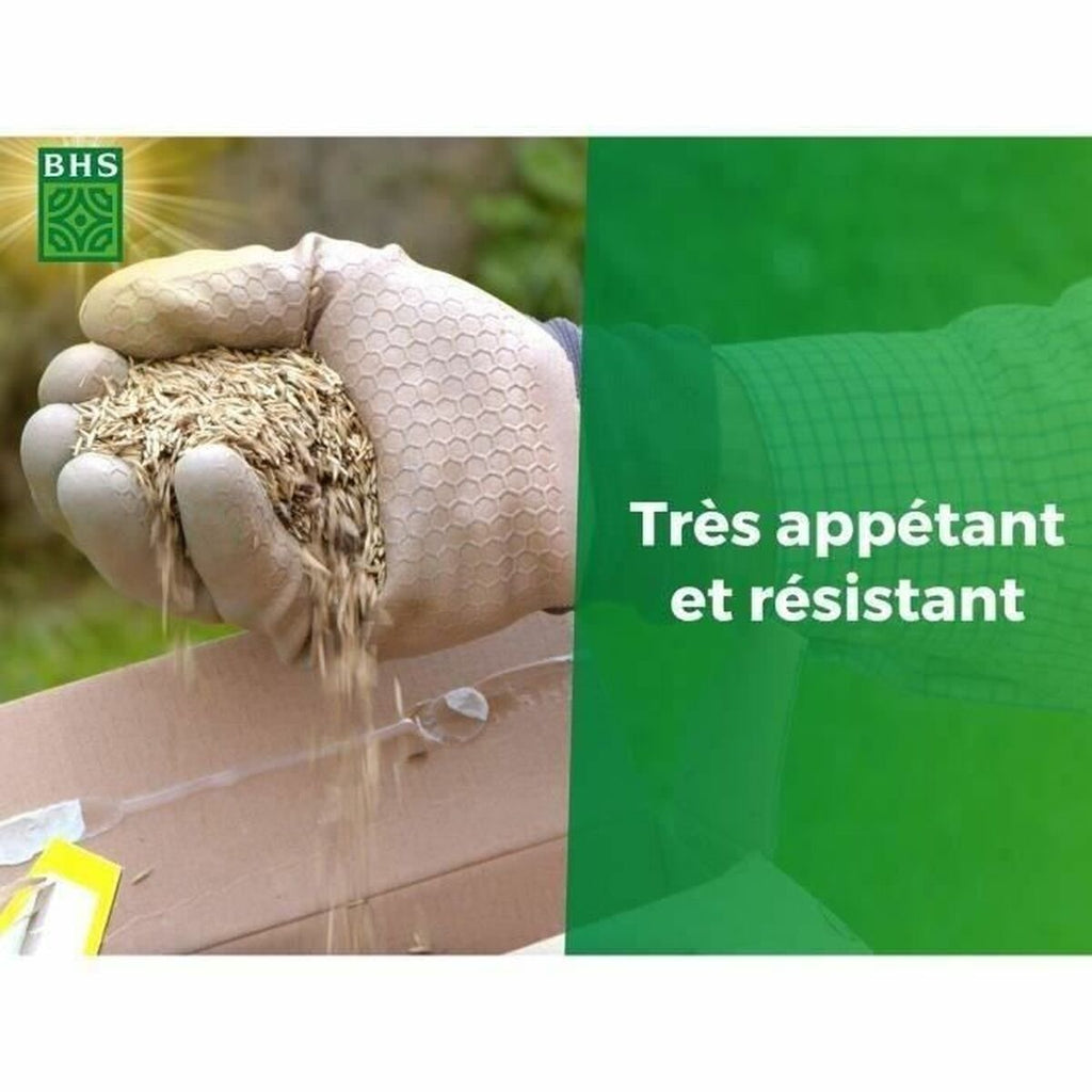 V5H0B9AAC2BFAC57BBB820DE152892EAC68R5808588P5