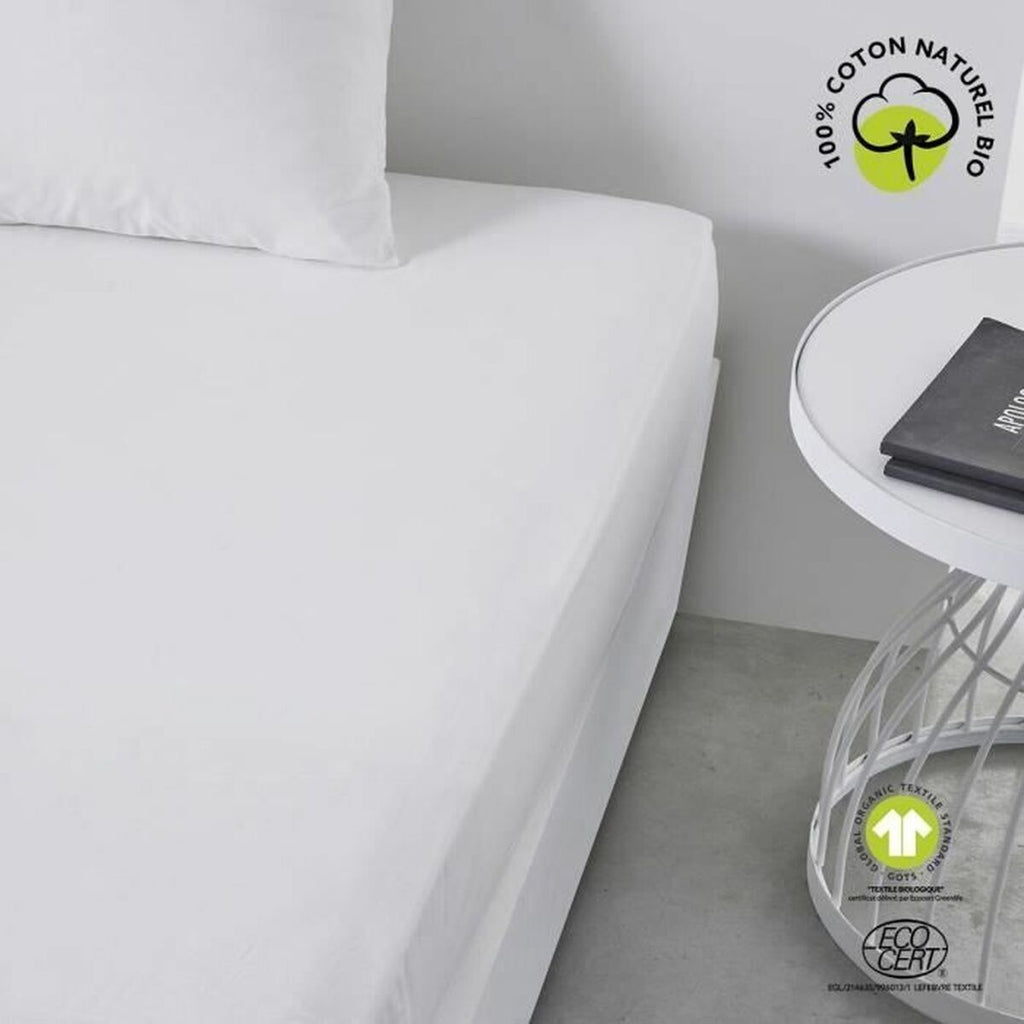 V6H6A07D30EE8438070809893ED7D082334R7343699P2