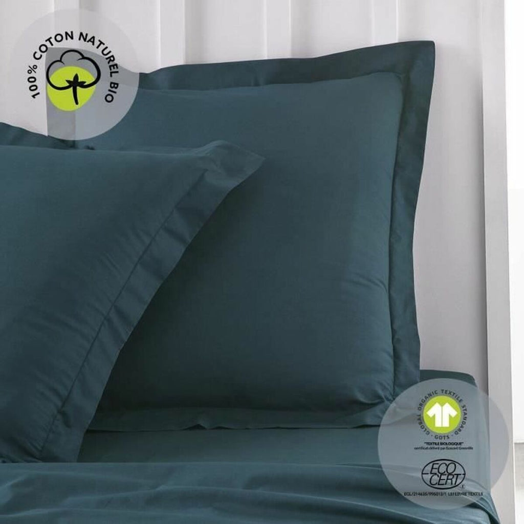 V5HB31357F7A85ED86D910D612462B9CEDDR5935529P2