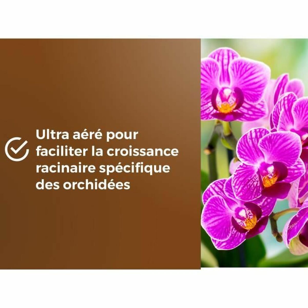 V5HA561B30F8D28E34140CAAD3F947C2C4ER5966080P5