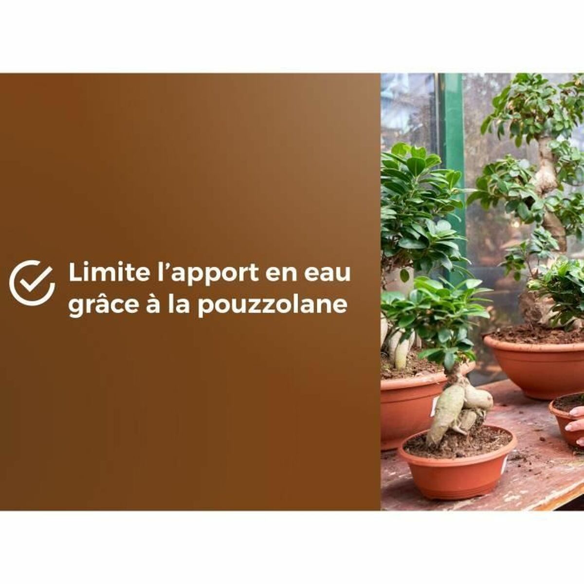 V4H3A9D4422A59490F28274557EED402391R6736618P5