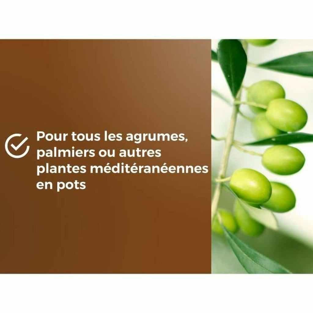 V6H52046314B98F95380E0E8EBE4A1C1523R6680069P5