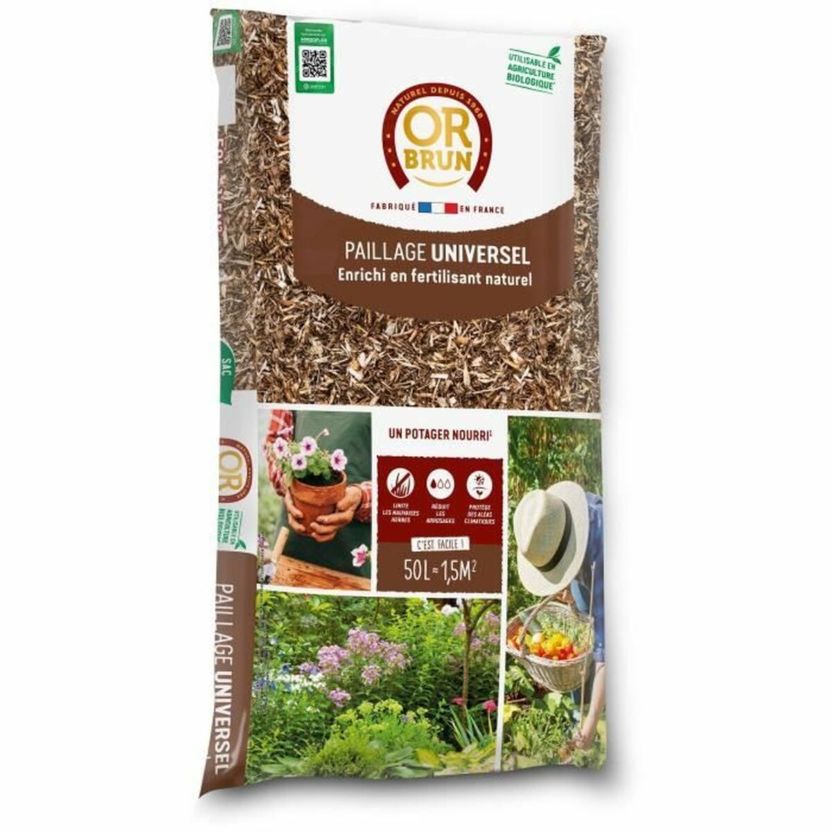 V6H33A496D43F179CD11BEA221BAA18ABBBR5179264P1