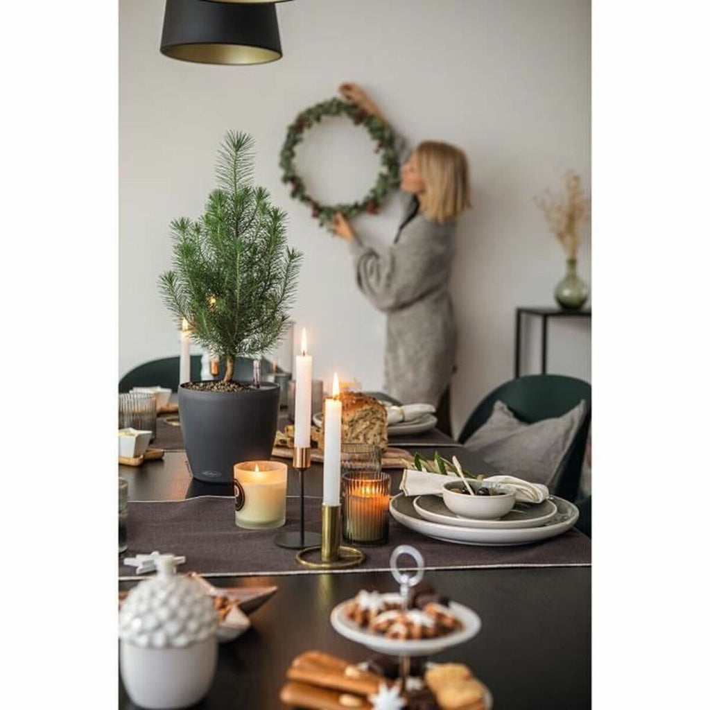 V5H0EA1C77EDC20D1E6B3B412A8012DAE9FR6833996P5