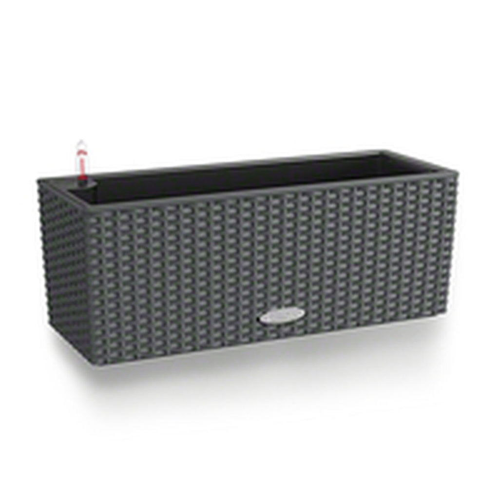 V6H9FFE508CF387AB5BDDA411B059EE7FDCR7250246P3