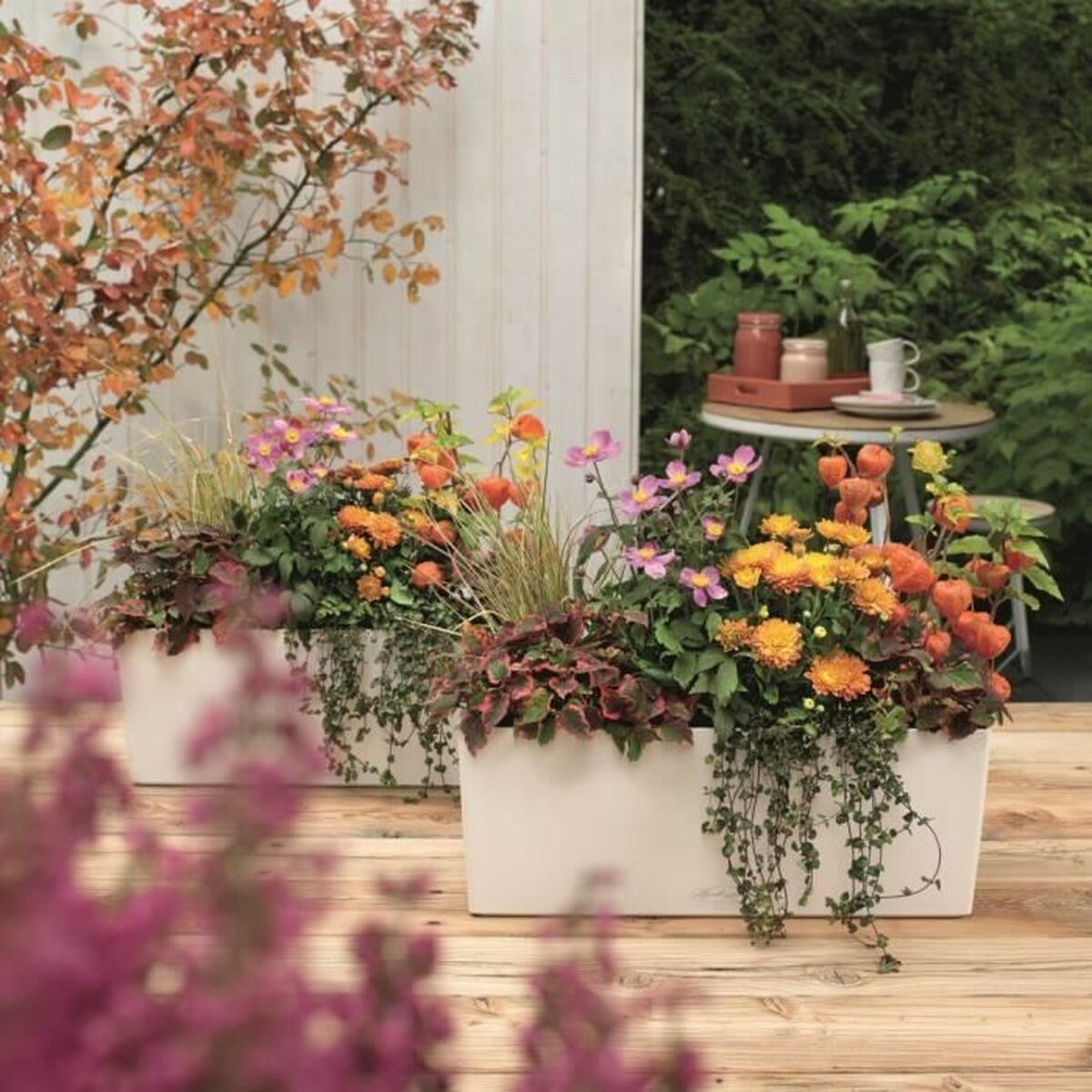 V3H6B24735D8B2724C1C7BDFFD1A8C63915R5837910P7