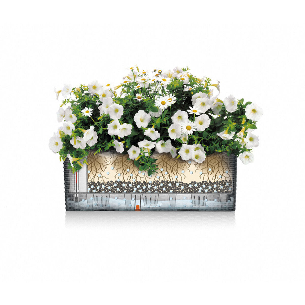 V5HE5A0174A11E8EC2EBA6BC03CC054D7DFR5837920P4