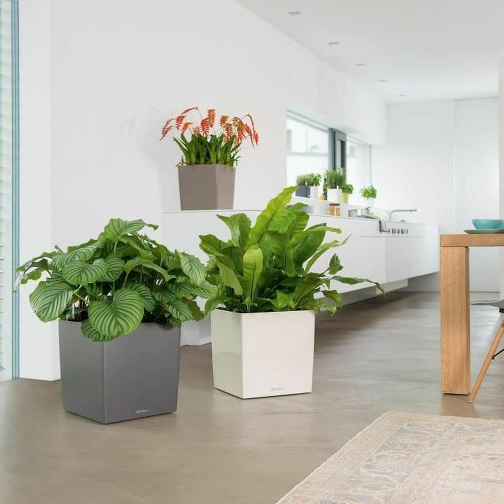 V6H77482331C8B51B548816C4BFBD102792R4371607P5