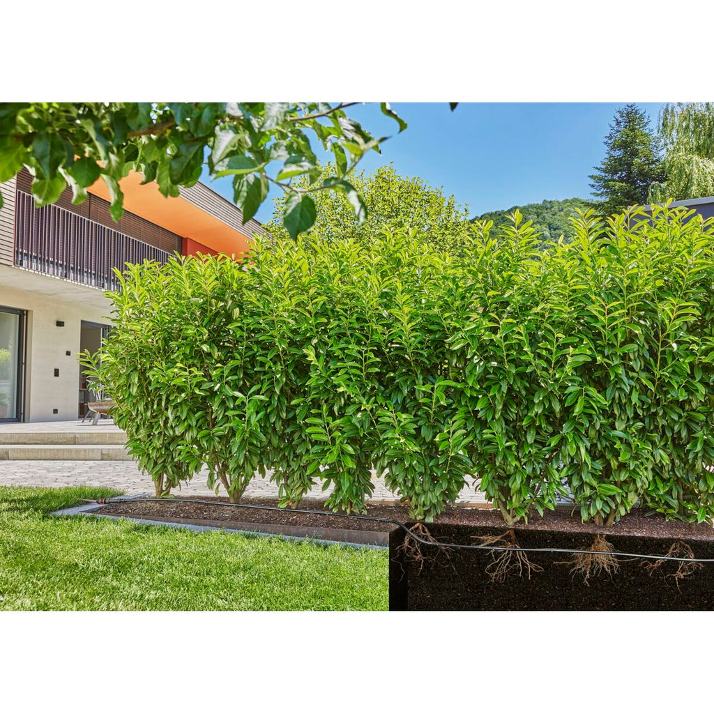 V6HCFC6B2A5B0D2E0D72A33A69905EDC96DR7162853P10