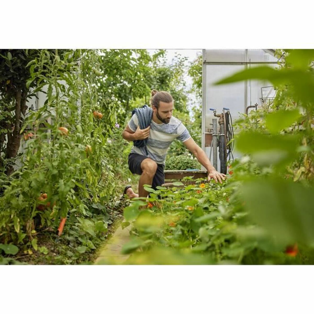 V6H9C1C628A17083B873BEDC6B2D952E8C1R2926556P3