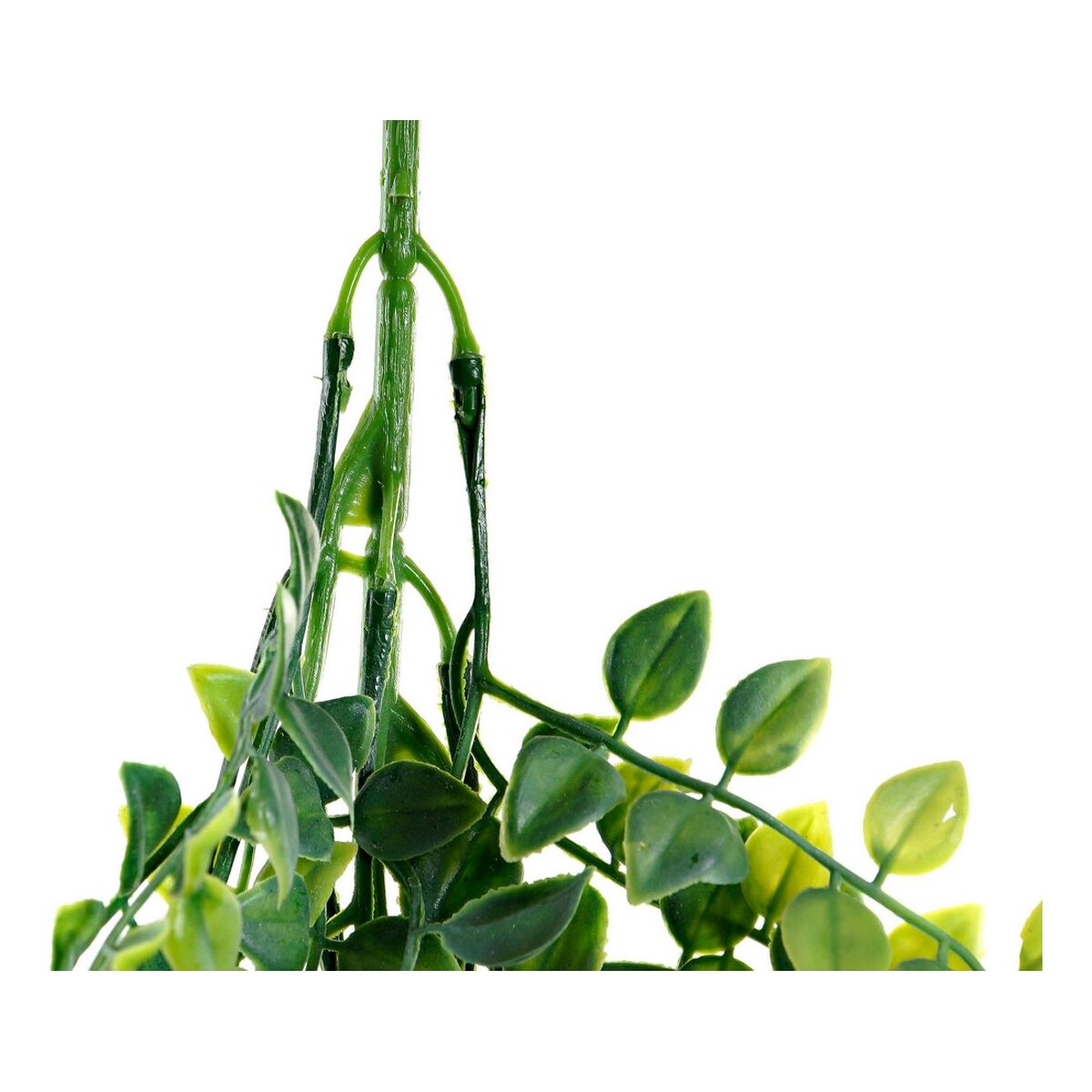 V9H7025F2D40FBD0DD0FC7D1702B180FC8AR5505647P3