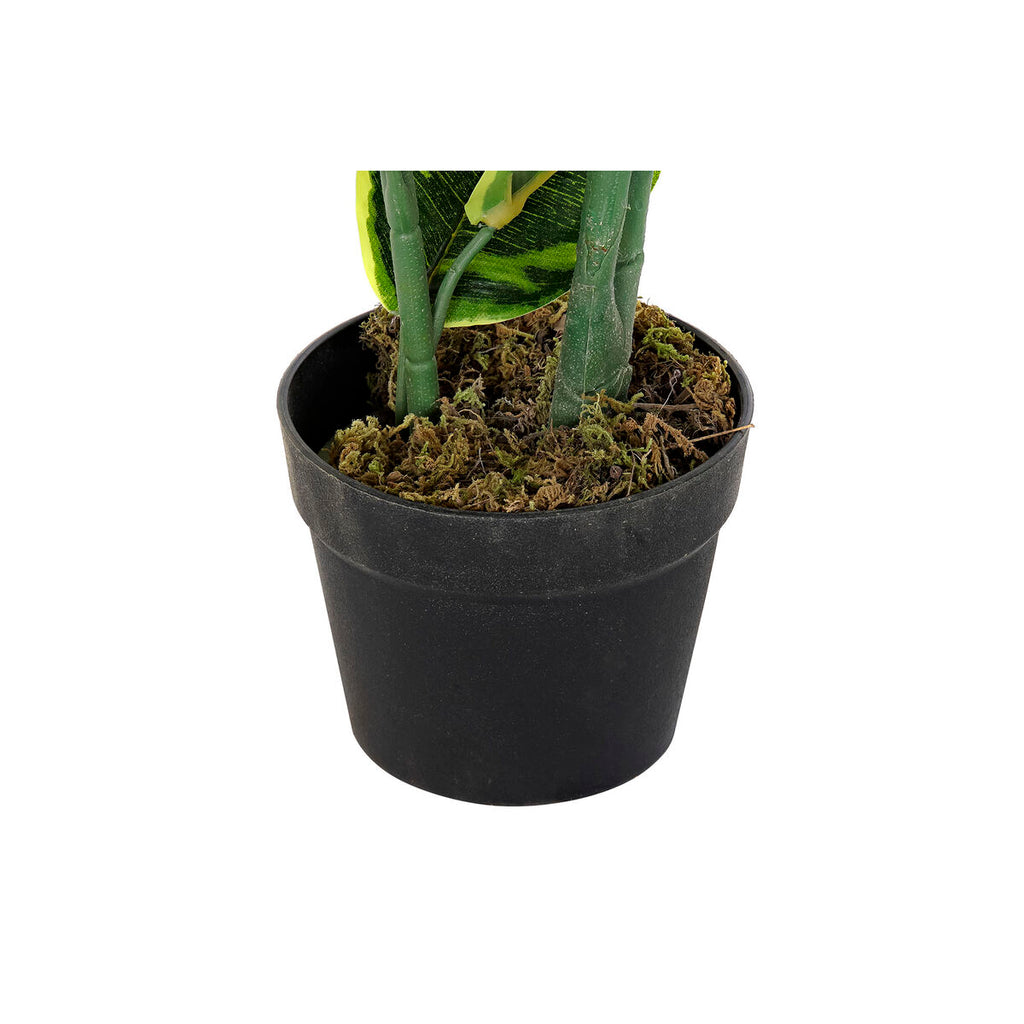 V8HB697F31652D7281990492E5962B233D5R1597860P2