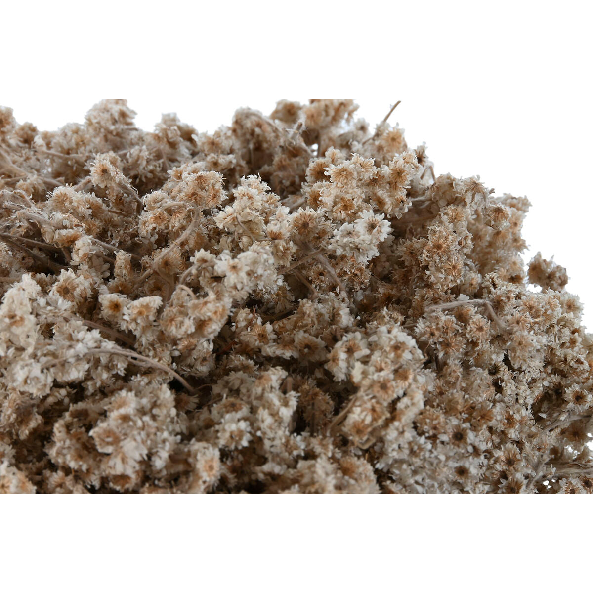 V4HF531E843DE66D958AC479A802C19BFCER4456792P2