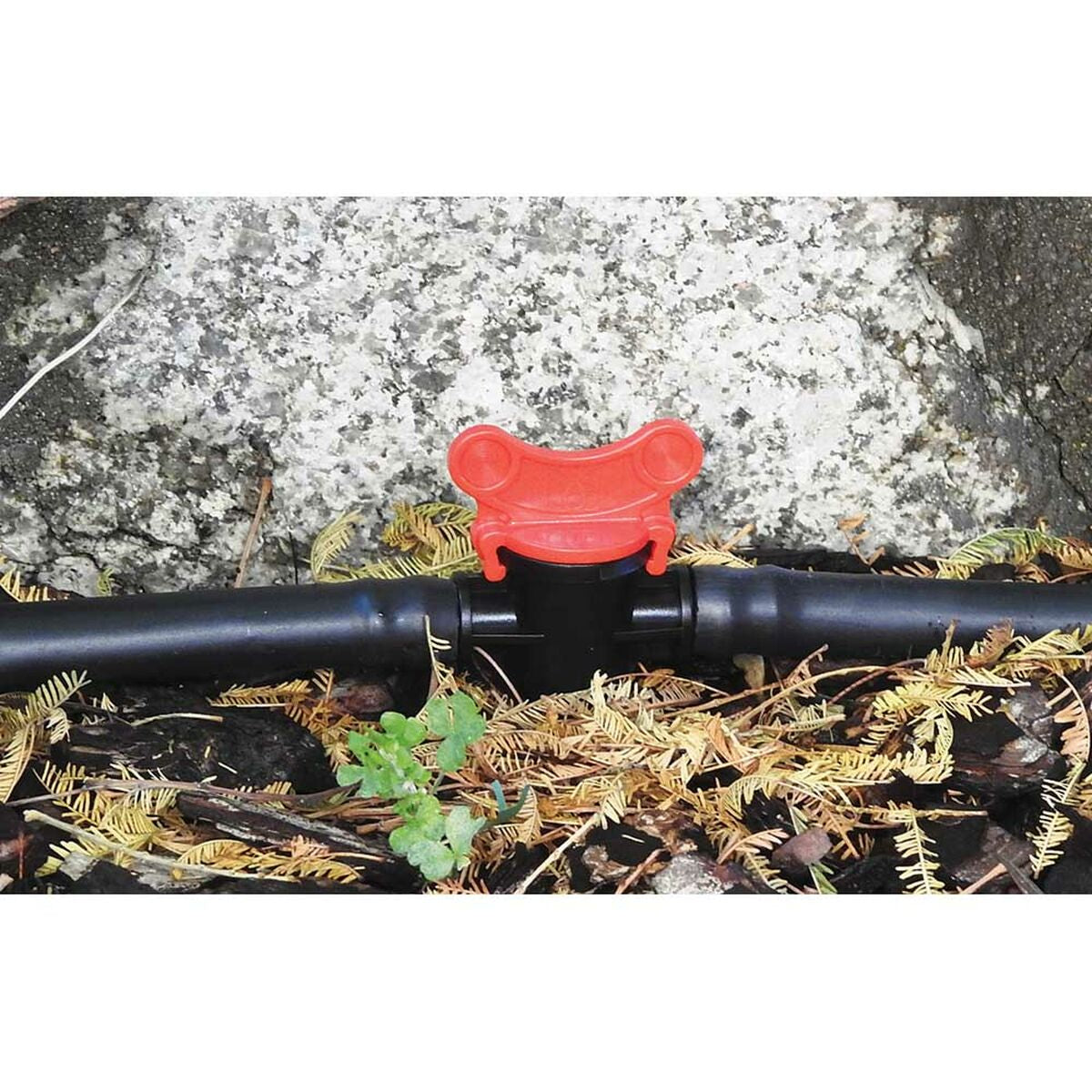 V4H8581FE58ED9756ABCE8A0C385D7CD5DDR4463258P2