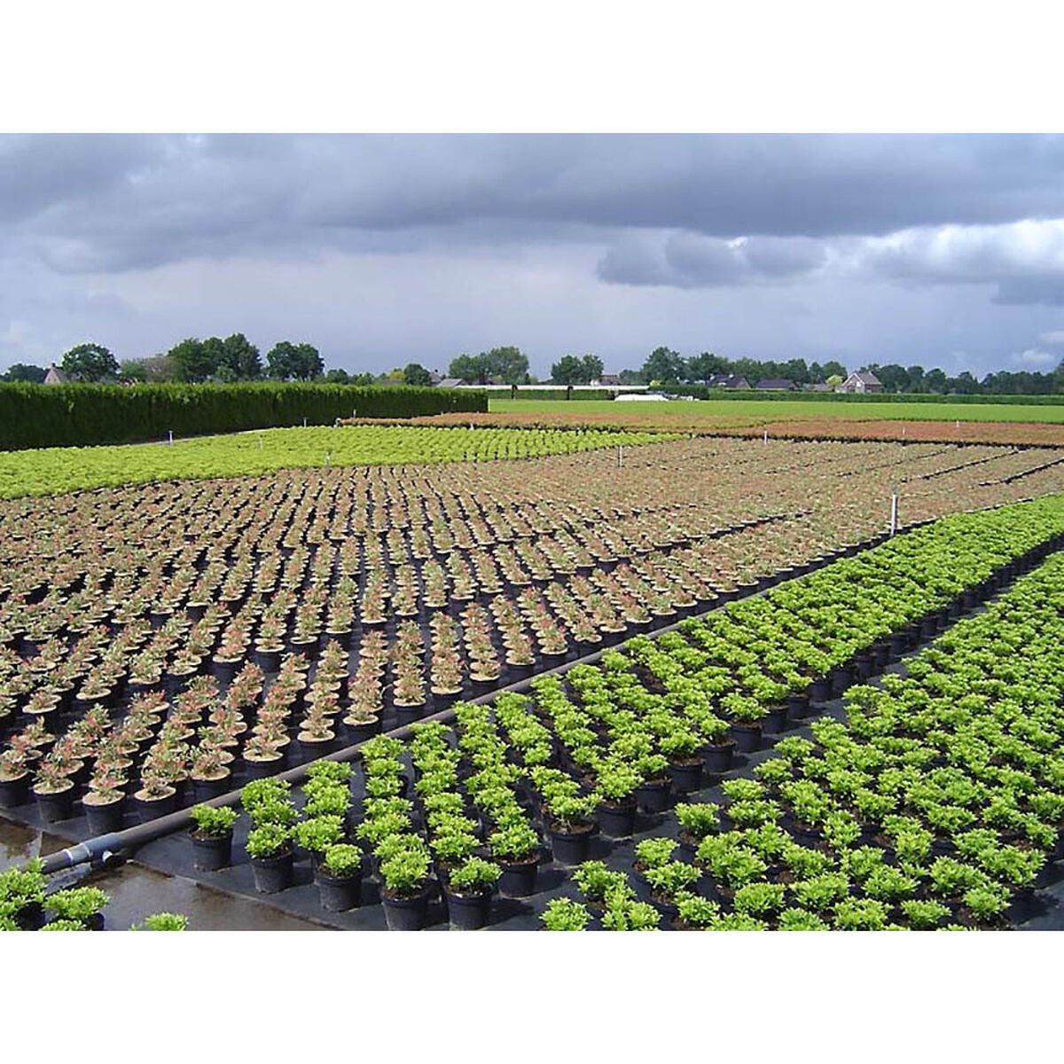 V3HBA2E149700632609DEC0FF3F0B6A89B5R5820684P2