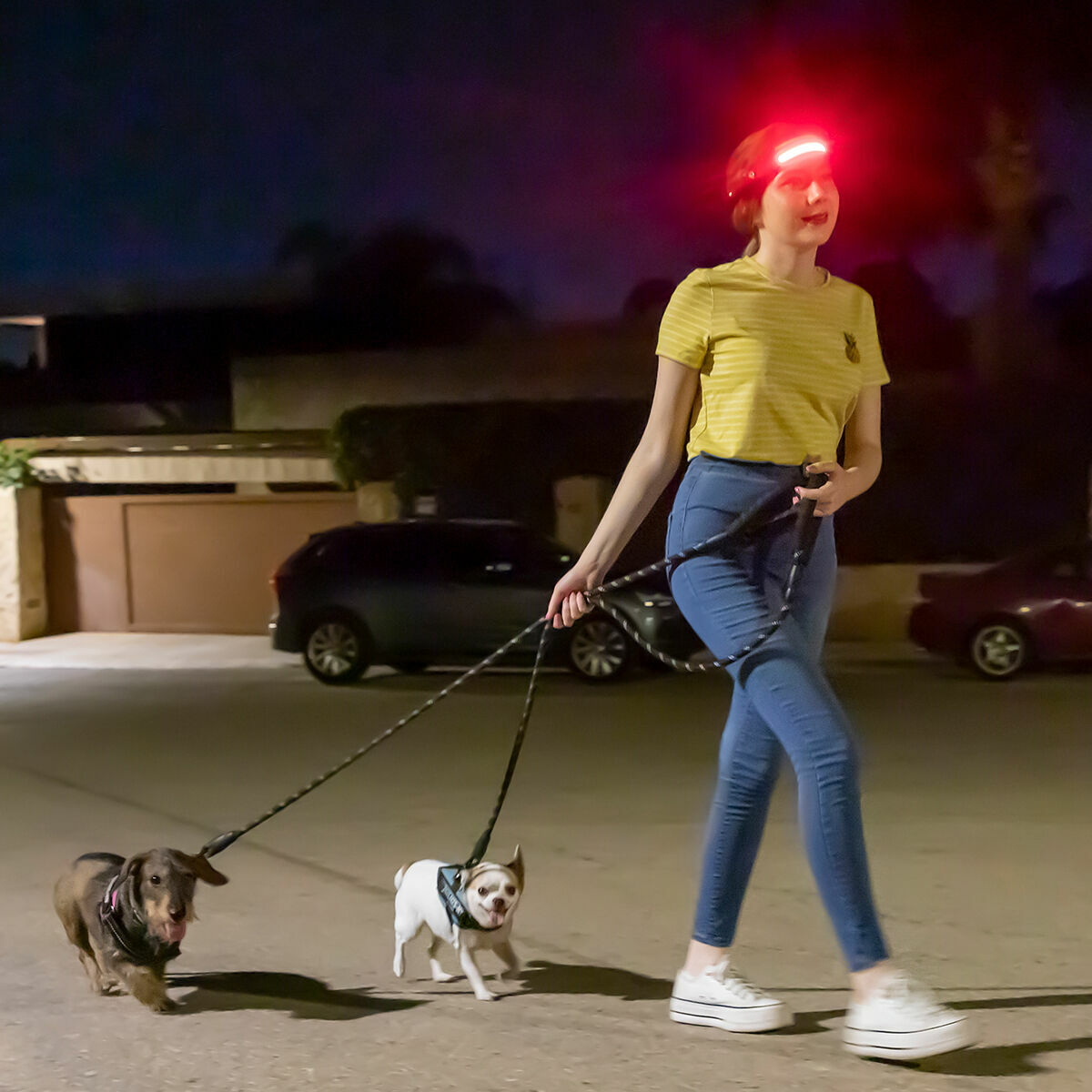 V11H2779619EE9D95895263BE4434F8081DAR5222736P6