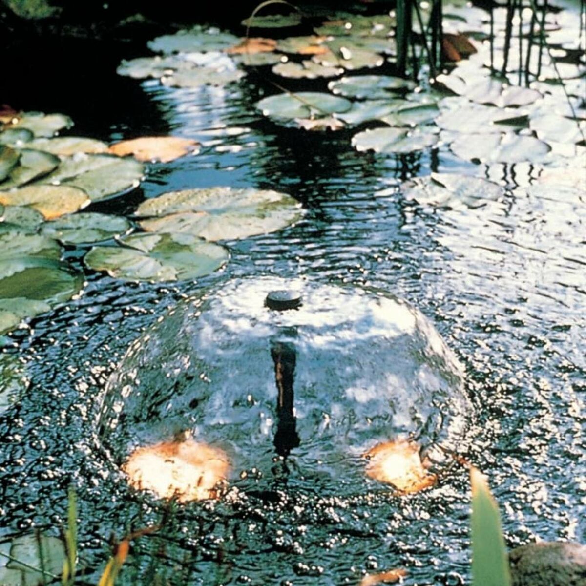 V9HFB0D2E6D190BBF034BDE5D4BCA479FD6R6468774P5