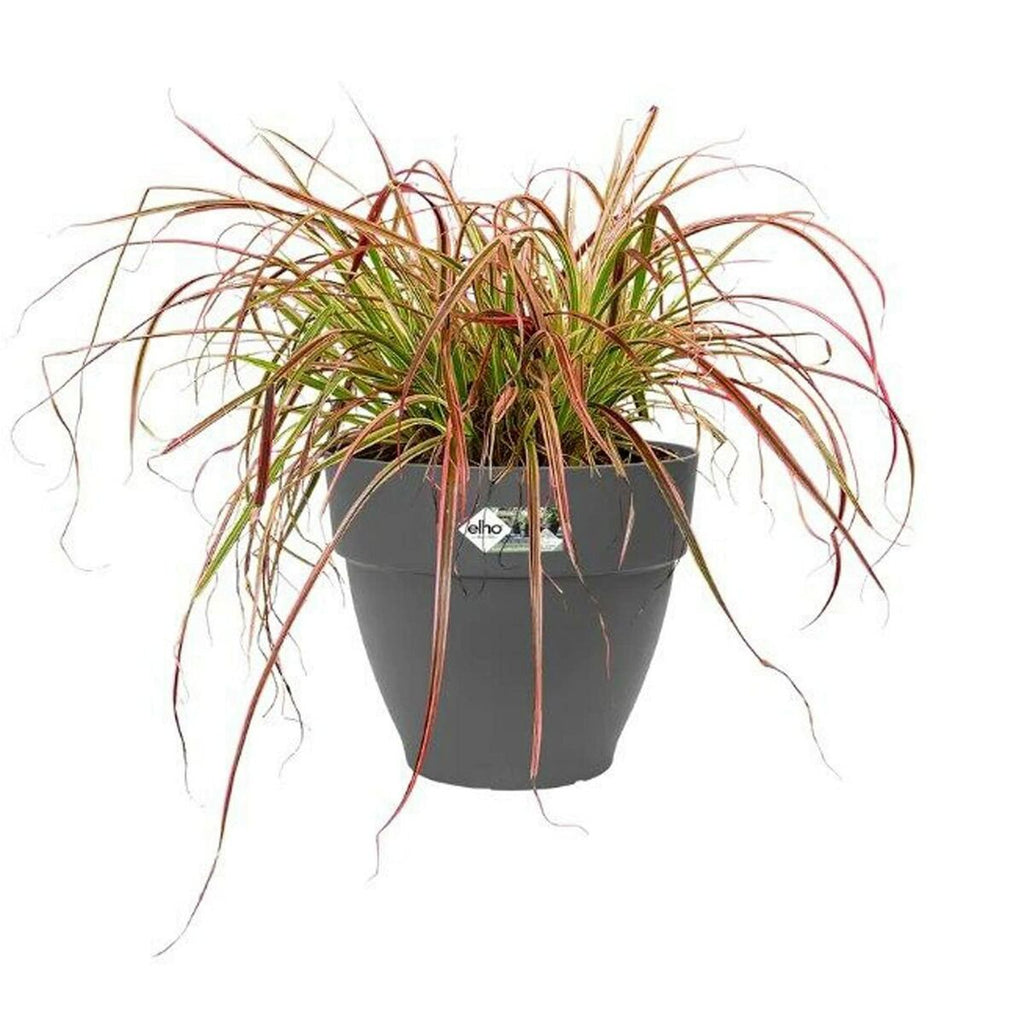 V8H9E412823EDFDE72298847AC404C4E0FER4008050P2