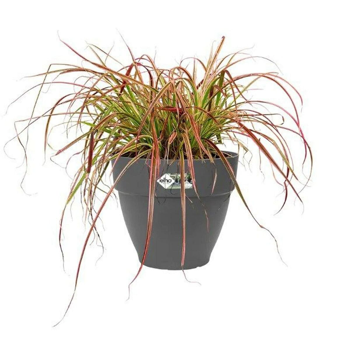 V8H9E412823EDFDE72298847AC404C4E0FER4008050P2