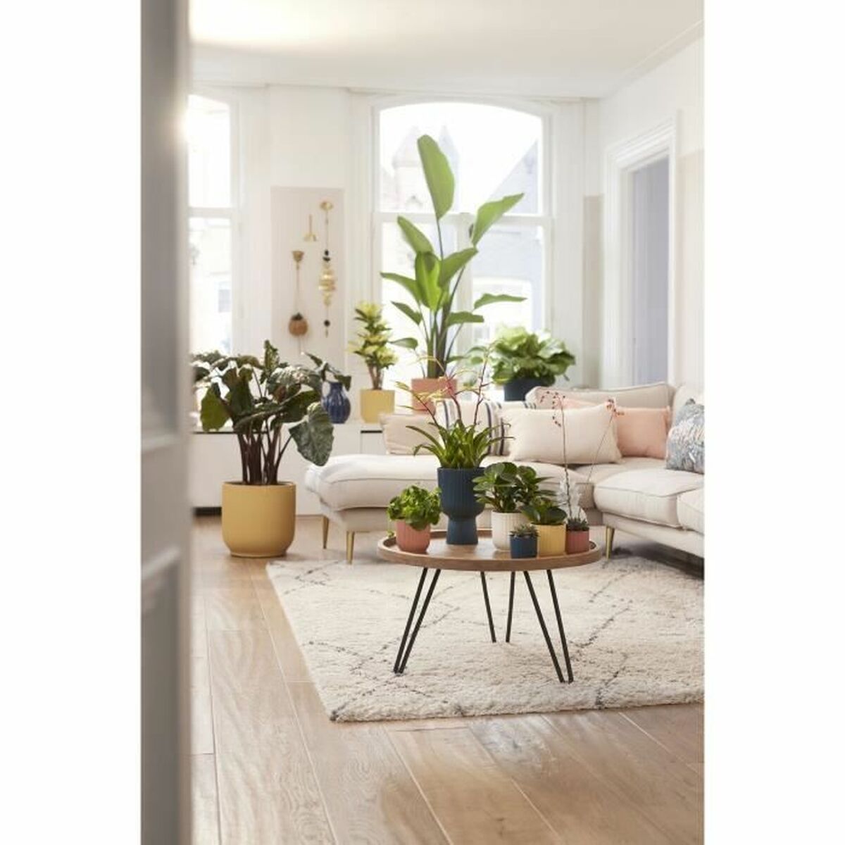 V9H938692B7415ED79C74307B8866D2C8C3R3436813P6