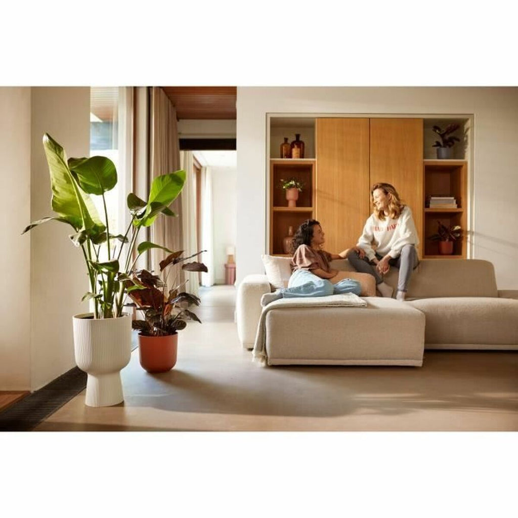 V6HA24DED50155538FD39E86A4EABE4179AR6889046P4