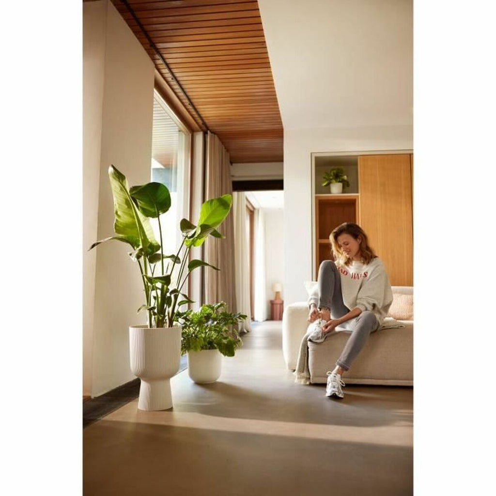 V6HF9D8B99323A846E549483C3E6E777A2BR6889052P6