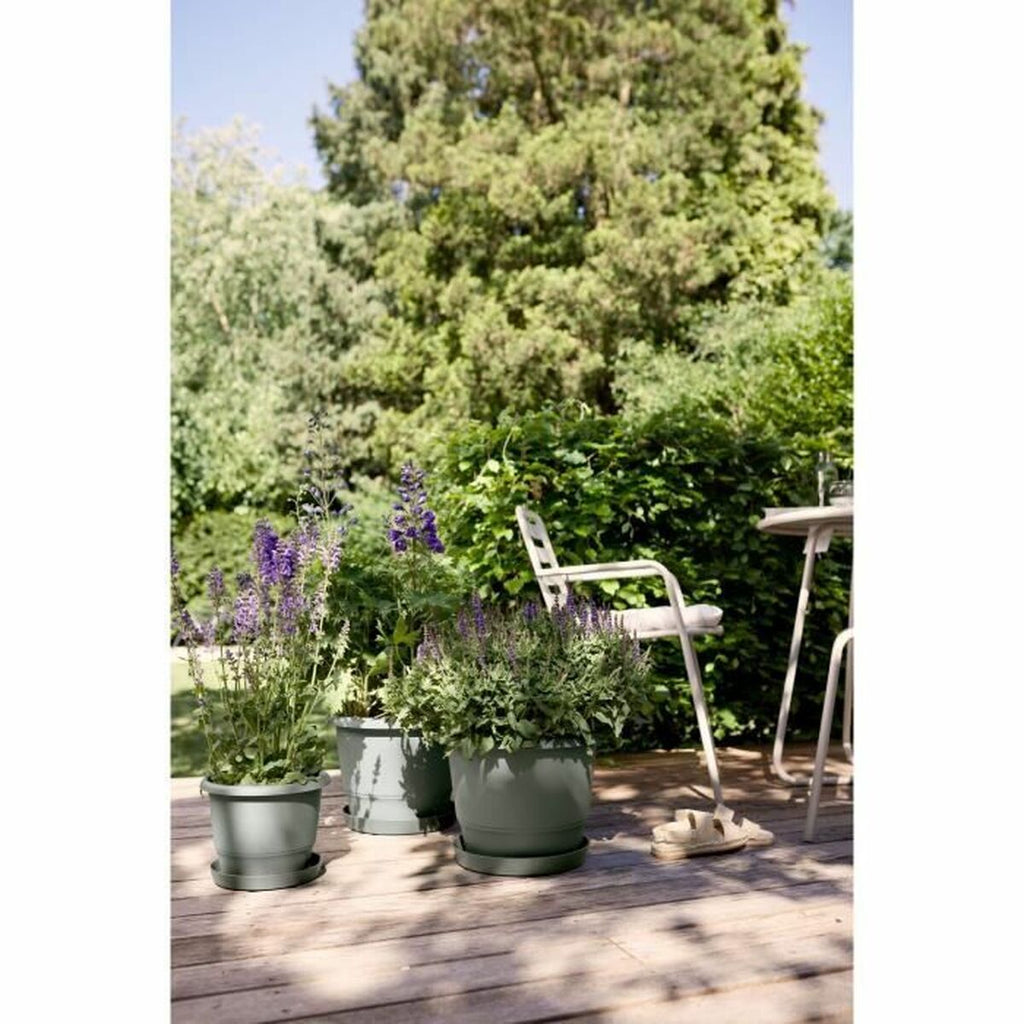 V5H47D98EAA8944B404BE07C6749C03767ER5529149P4