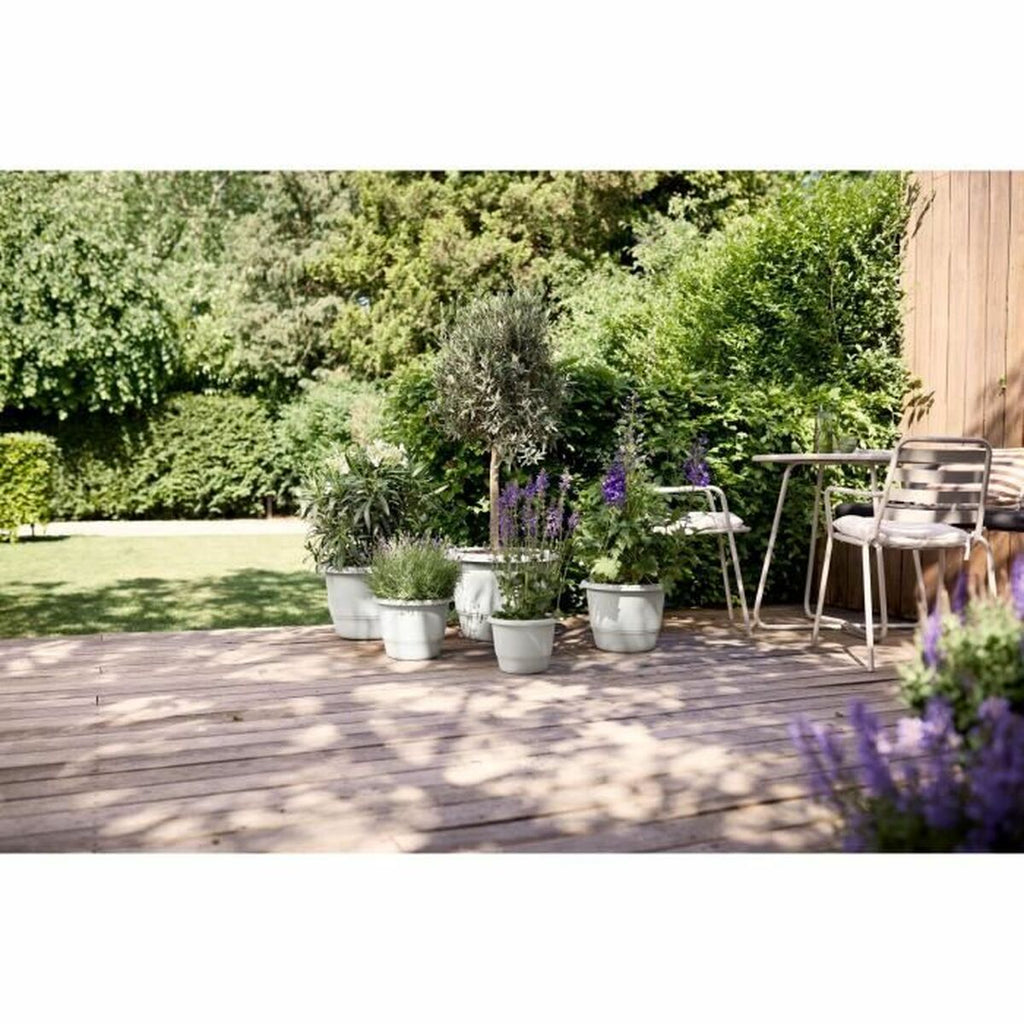 V5H00BE6A1B05BB125AE78CF401D802DF74R5529044P5