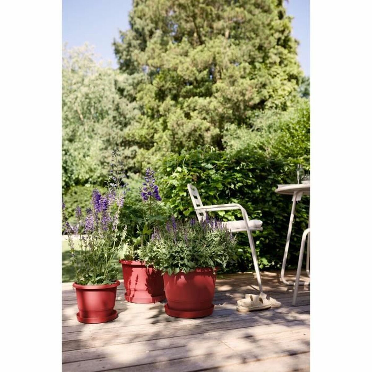 V5HE44A8E1DC86E6686269B2631FE8B9E46R5529090P2