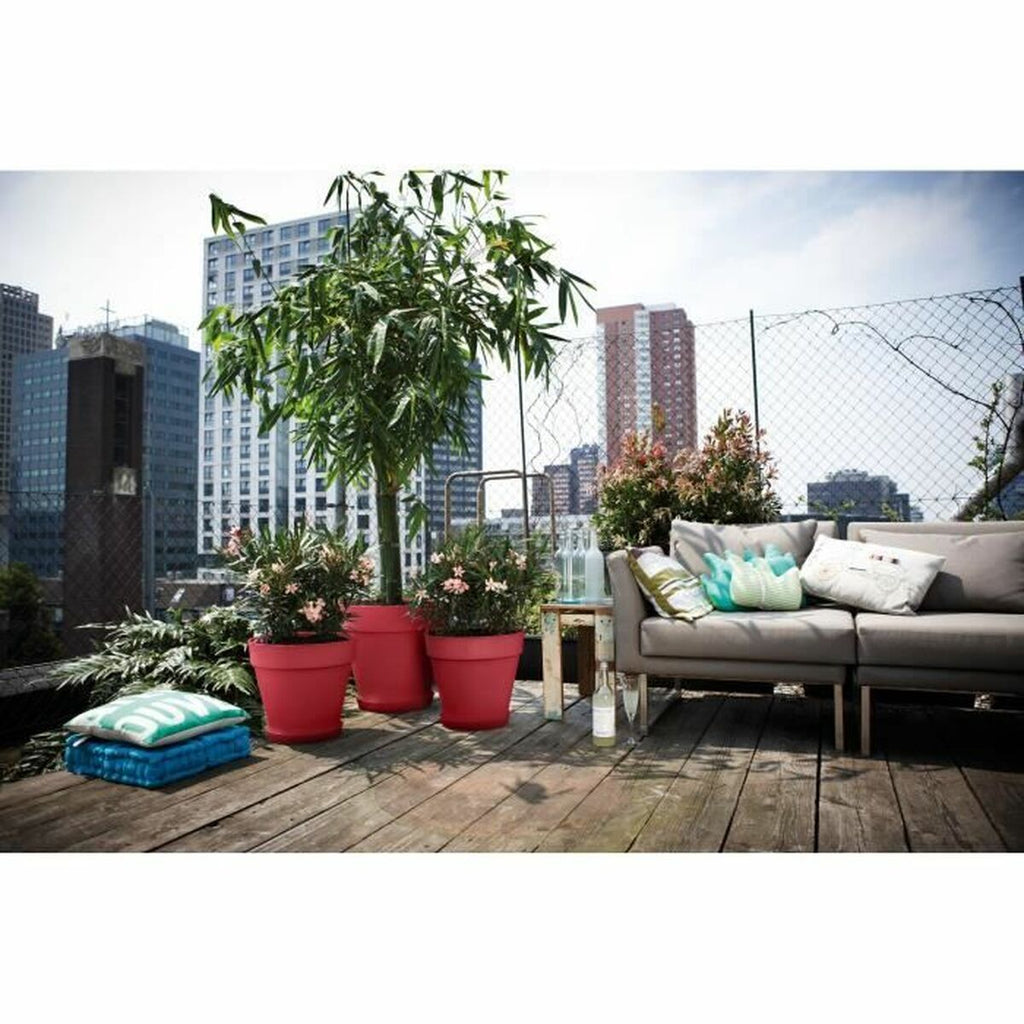 V5H2DDAD4D1CA9745C66D5B02AFDC604BE0R6725597P4