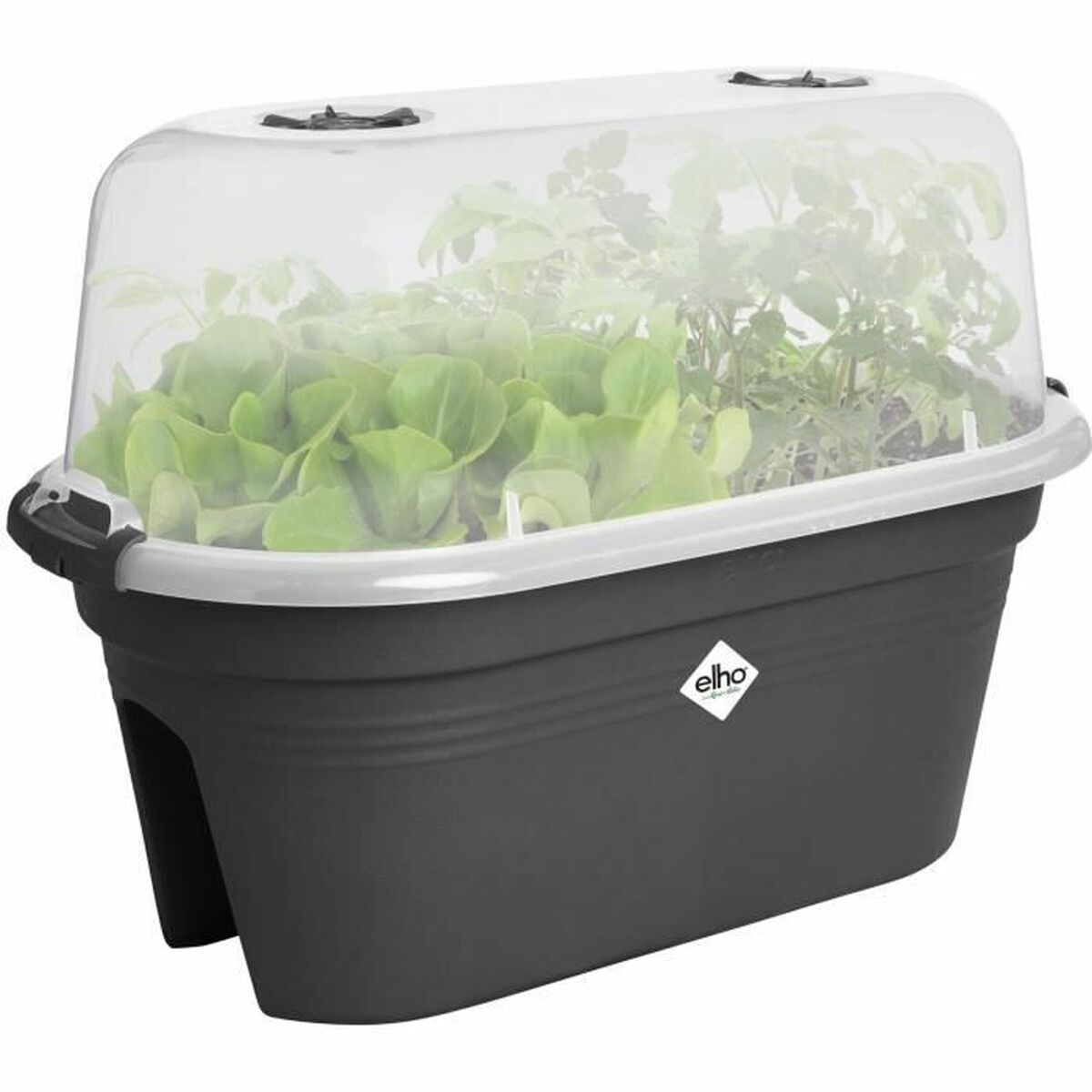 V3HA6BB6907683FD17D28ACC46514B3E8AAR5529051P2