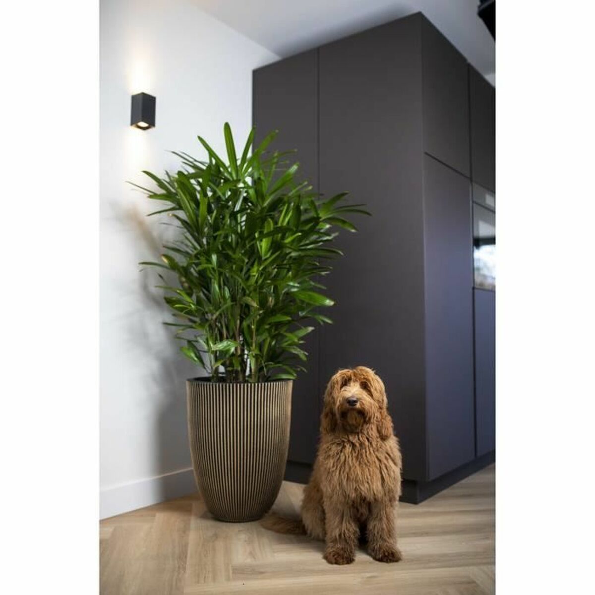 V4H2DD4D07B392C2055E4E79288413B982DR4917092P3