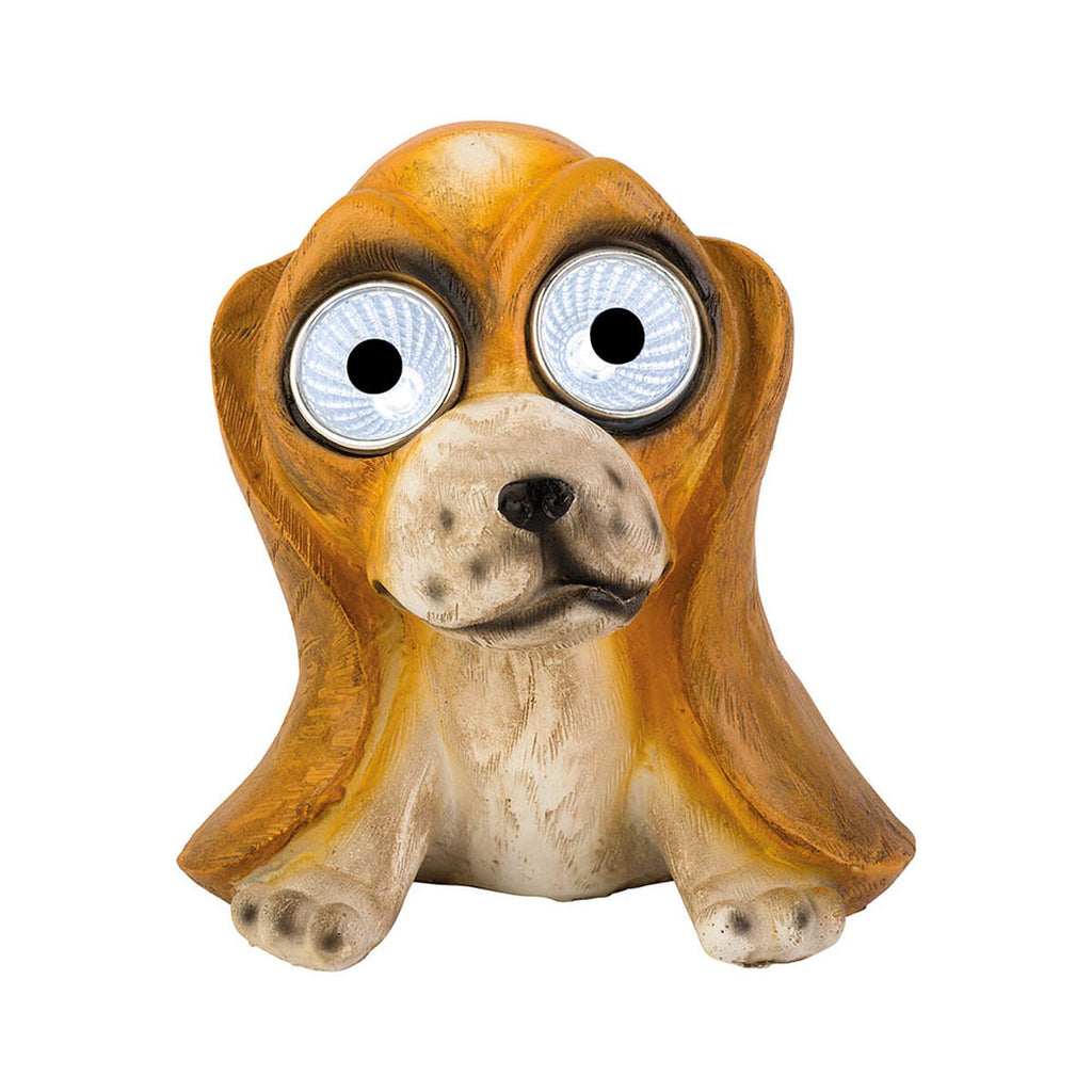 V6HE3CC54FC74C6A37FBBB0A0873871DBEFR5559897P2