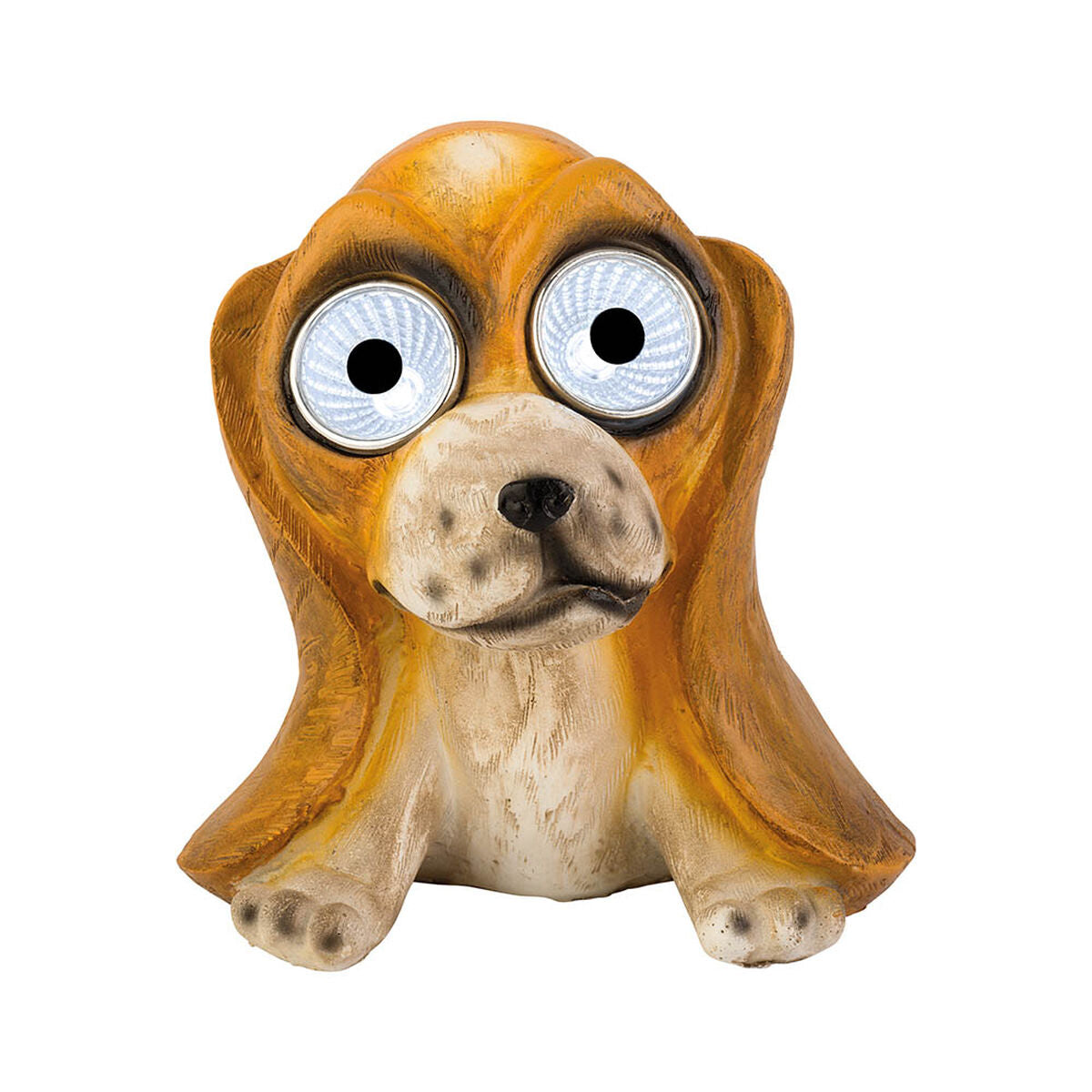 V6HE3CC54FC74C6A37FBBB0A0873871DBEFR5559897P2