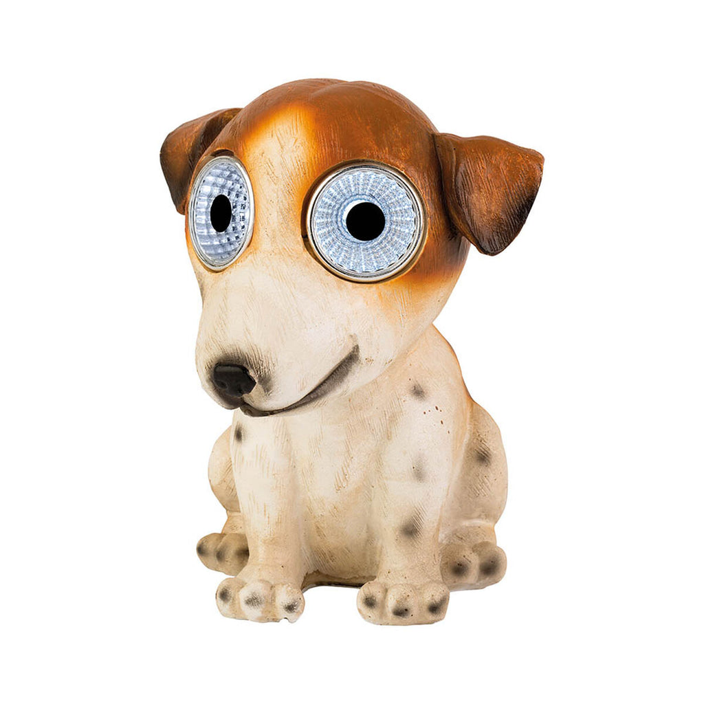 V6H01AA388CEA4F75E07FDD92987CC1414BR5559903P5