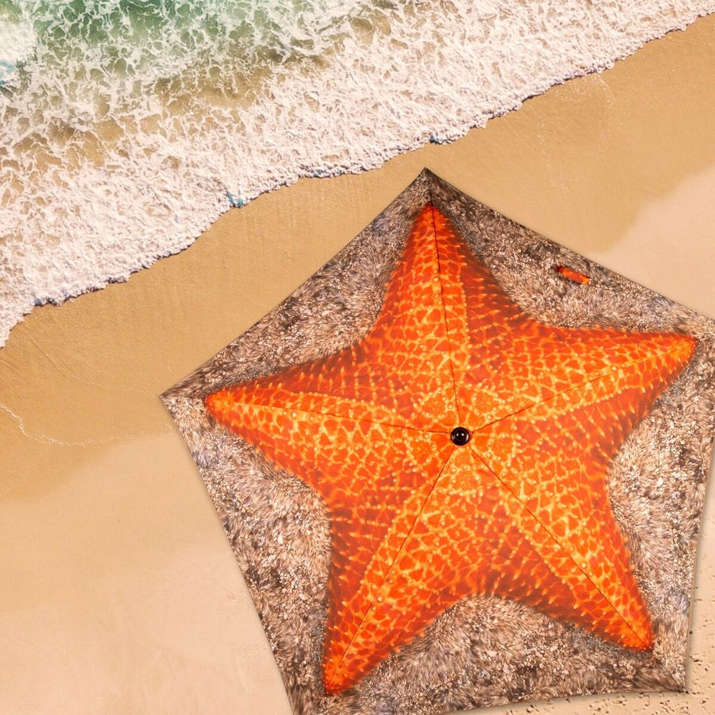 V5HE407C8F646D4D01C0CC86EACDC774D3AR5424950P6