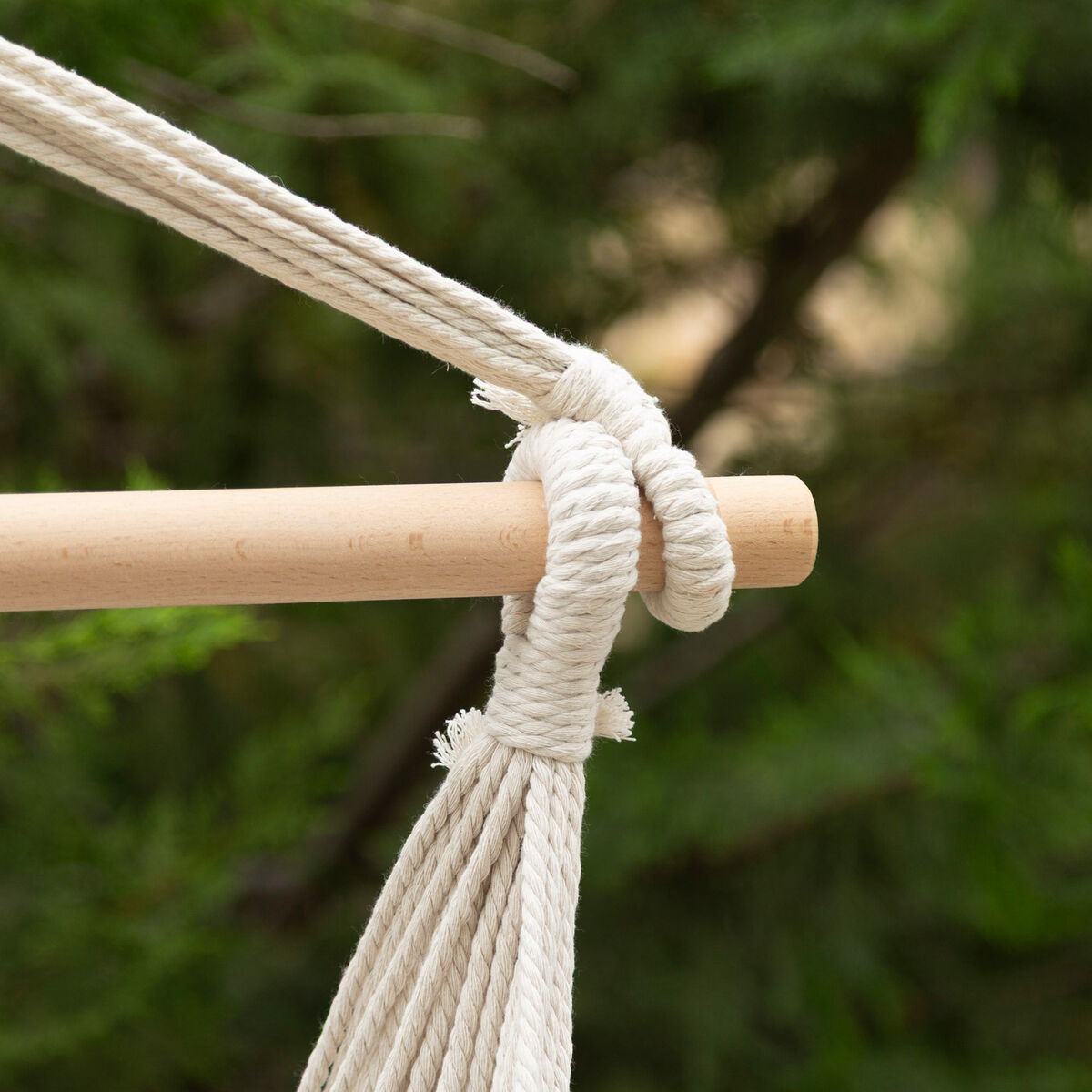 V2H93BA8A99A14CA2FEBA41B97628E2D977R7356781P4