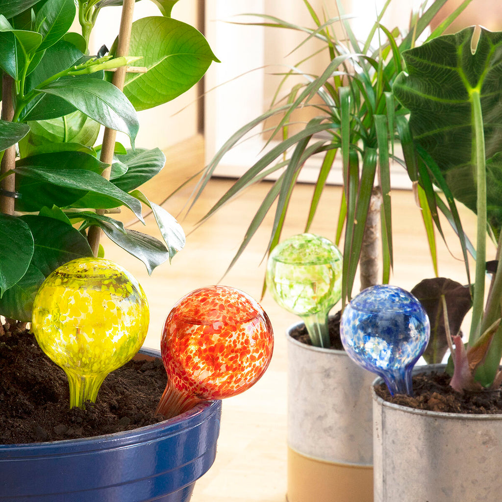 V13H89978B7BD0B0FDCA0EBFE5044E272A6CR5254324P7